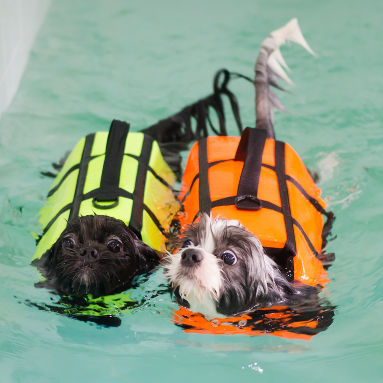 Rehabilitation Center Rehabilitation Center